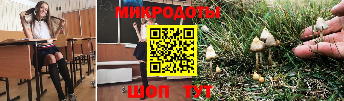Псилоцибиновые грибы Psilocybine cubensis  Вход с VPN  Сургут  Псилоцибиновые грибы Psilocybe 